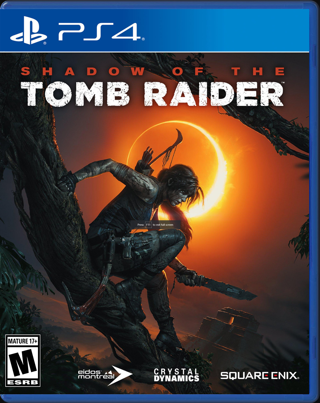 

Shadow of the Tomb Raider PS4 Case

