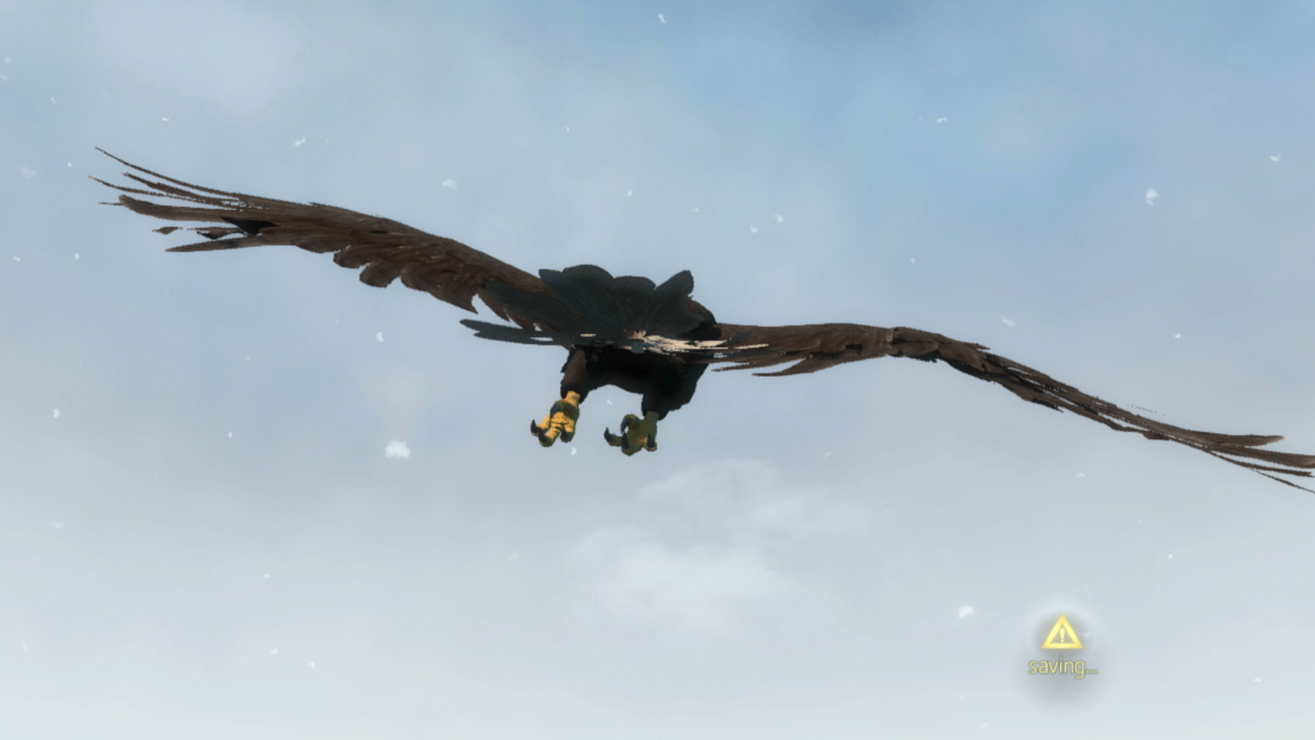 Assassins Creed Rogue PS3 eagle flying