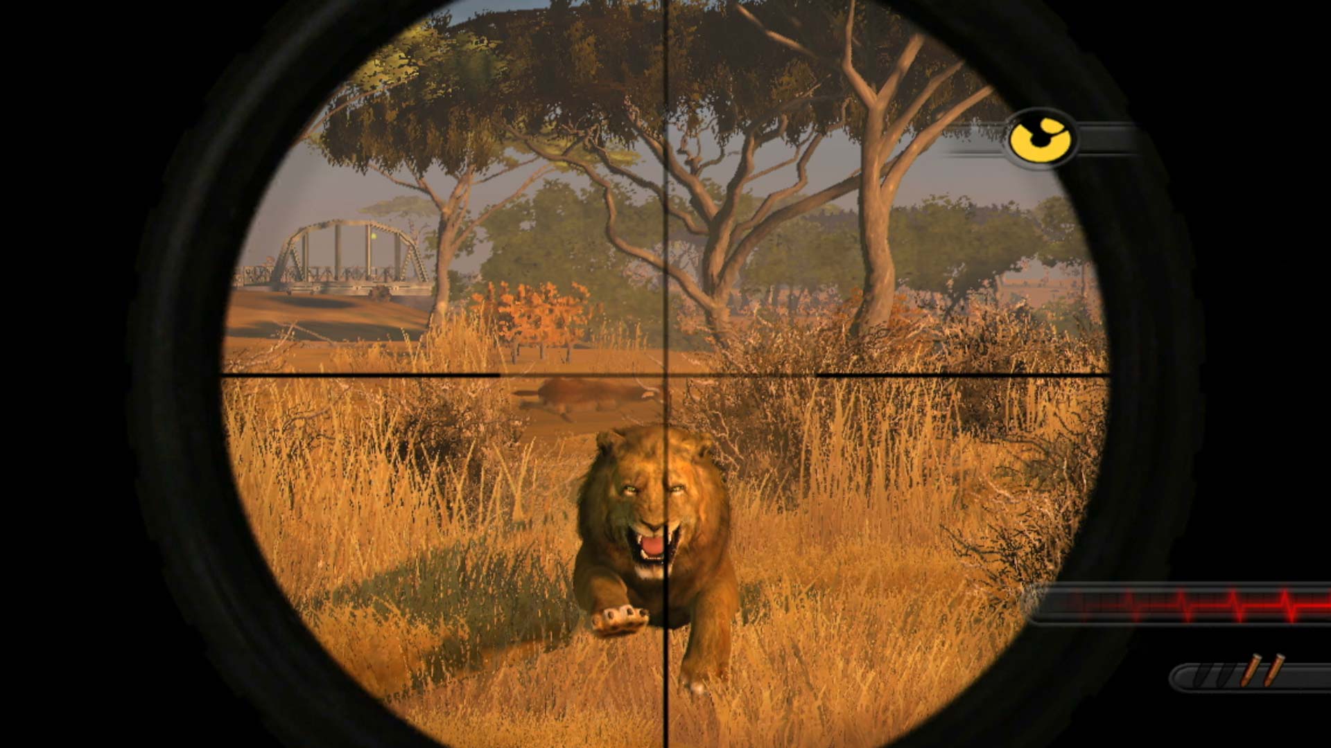 Cabelas Dangerous Hunts 2009 PS3 male lion running scope