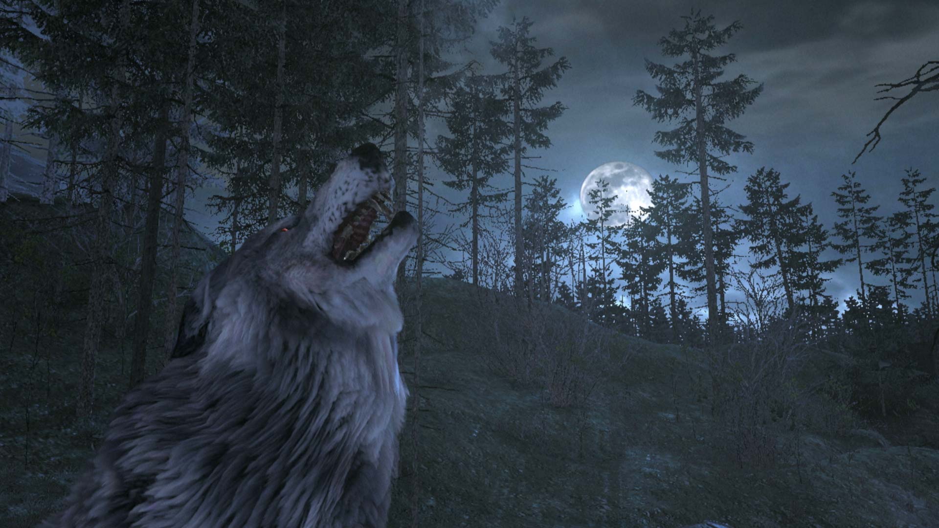 Cabelas Dangerous Hunts 2011 PS3 wolf howling moon