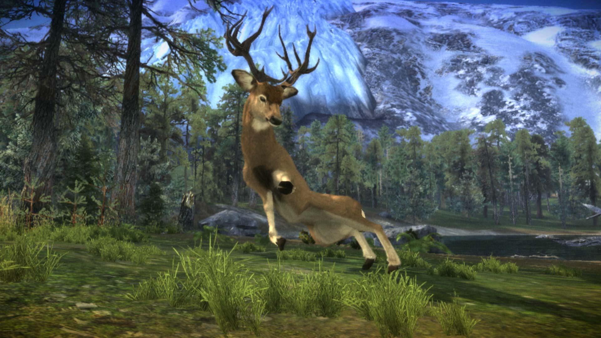 Cabelas Dangerous Hunts 2013 PS3 buck mountain view