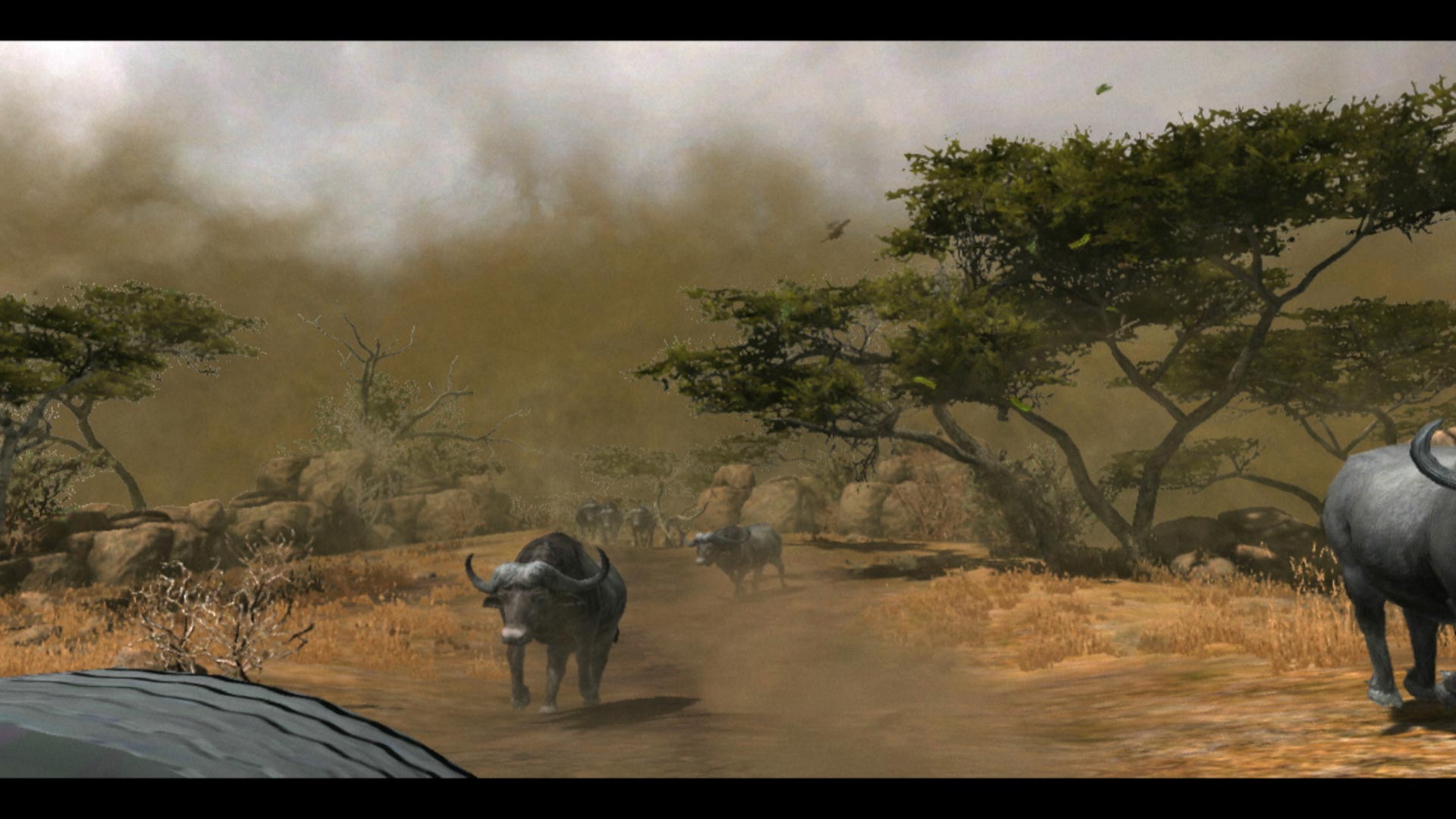 Cabelas Dangerous Hunts 2013 PS3 african buffalo