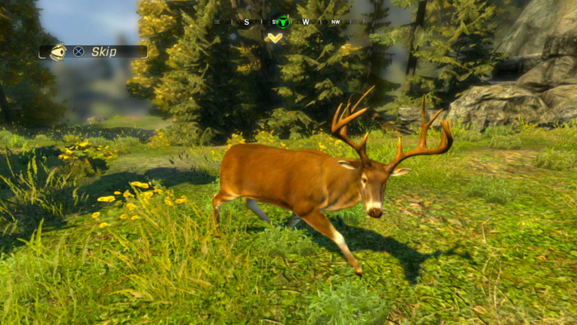 Cabelas Hunting Expeditions PS3 buck standing field