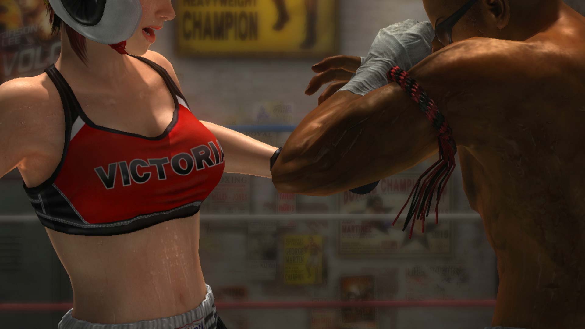 Dead or Alive 5 PS3 mila character boxing