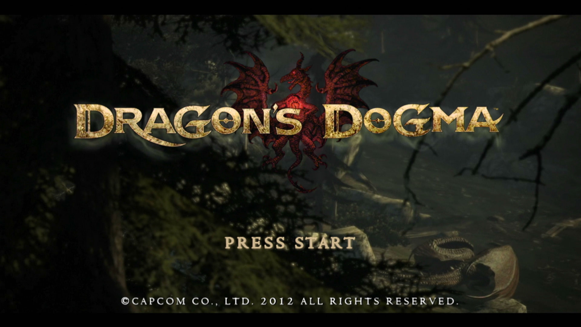 Dragons Dogma PS3 game title start screen