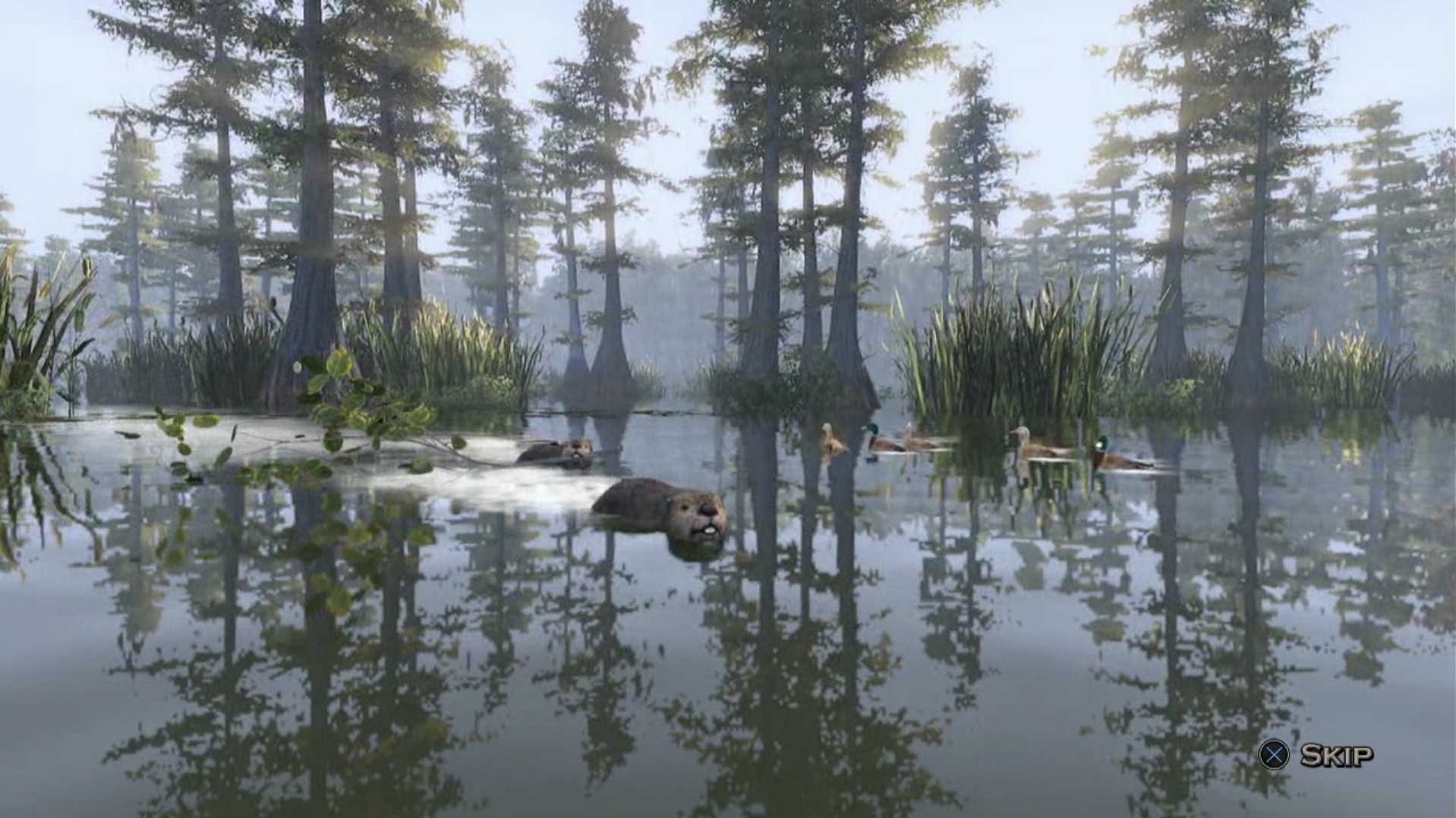 Duck Dynasty PS3 wilderness beavers swimming