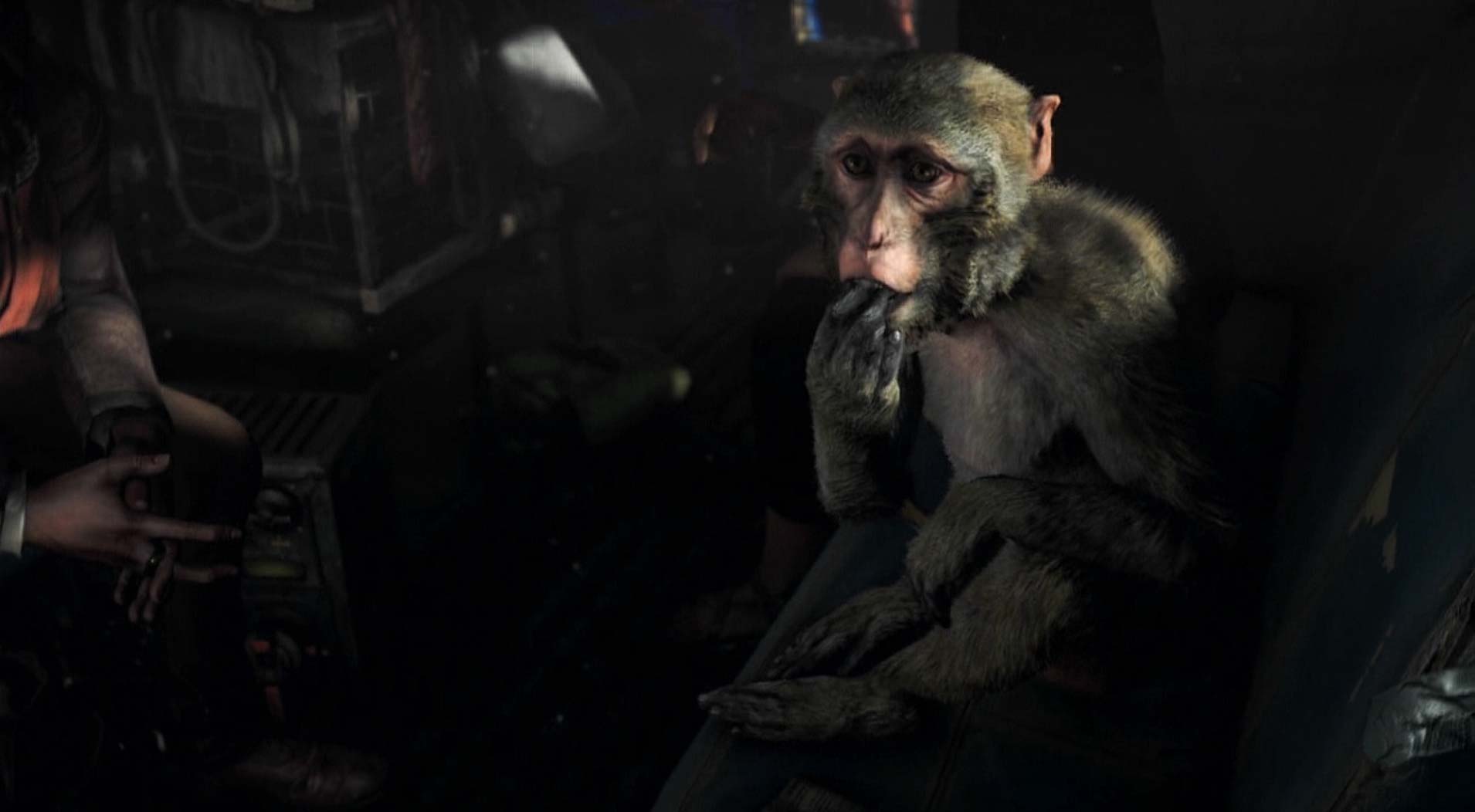 Far Cry 4 Limited Edition PS3 cutscene monkey eating