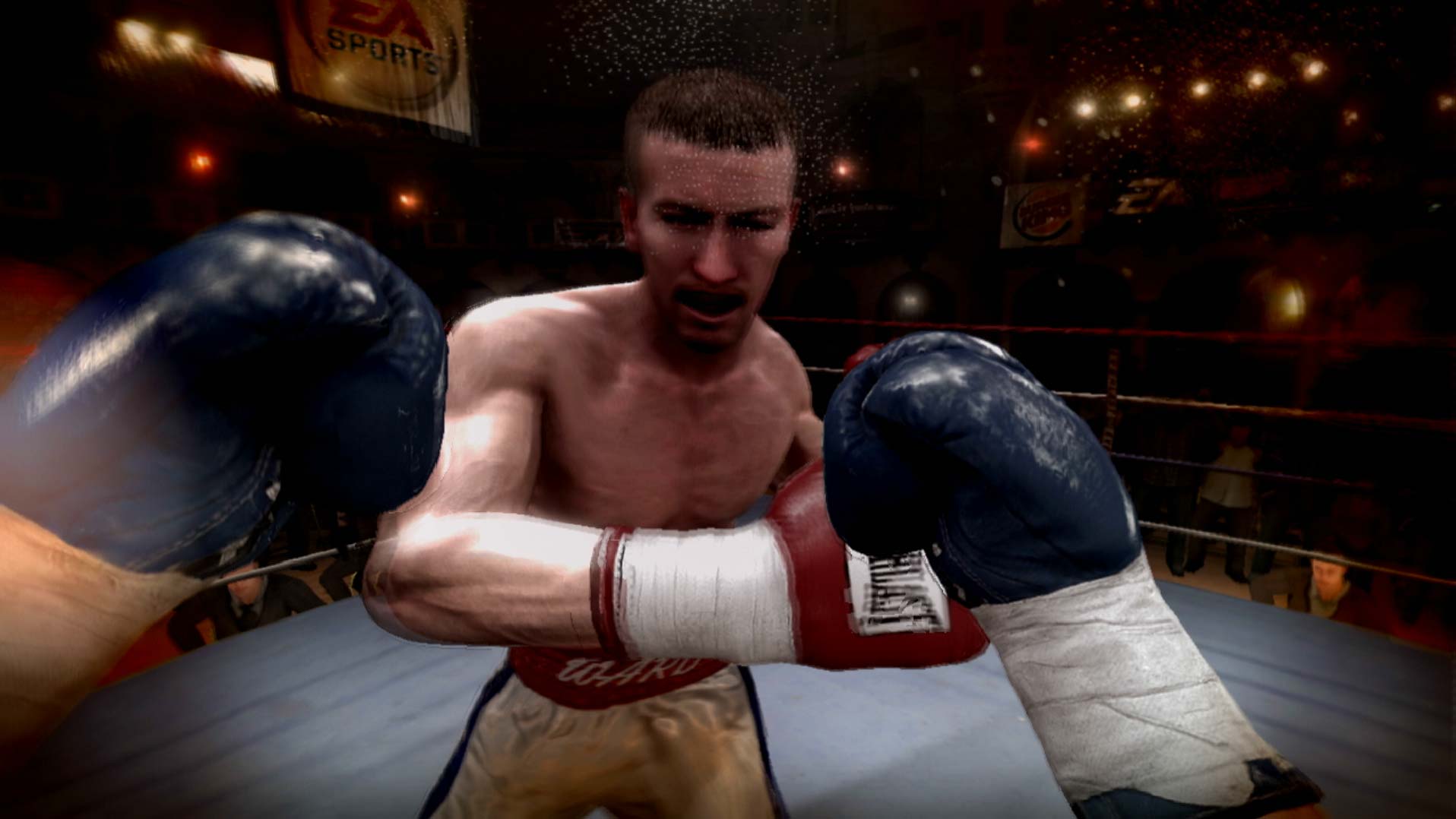 Fight Night Round 3 PS3 gameplay fighting punching